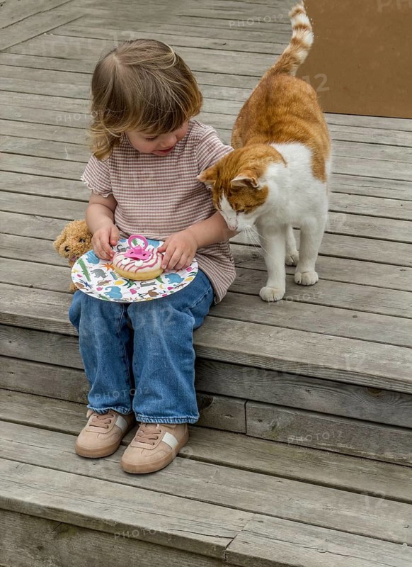 Little Caucasian girl, 3 years old, sitting on a wooden deck and eating a cookie. The cat wants to taste it too. In Ystad, Skåne County, Sweden, Scandinavia