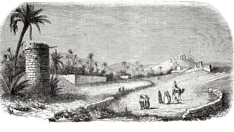 Wood engraving from 1849 depicting the Assela Oasis and Ksours in Algeria, typical desert architecture with a fountain or tower in the foreground and palm trees in the background, illustration, reproduction from a 19th-century model. Authentic, file restored for optimal use, exact date of submission unknown, historical