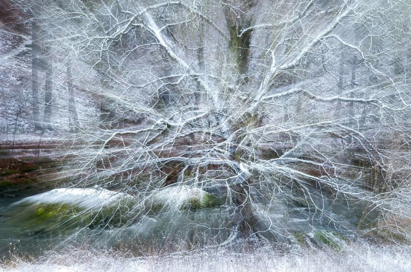 Tree, detail, Elstertal, landscape, snow, snow, rock, tree, winter
