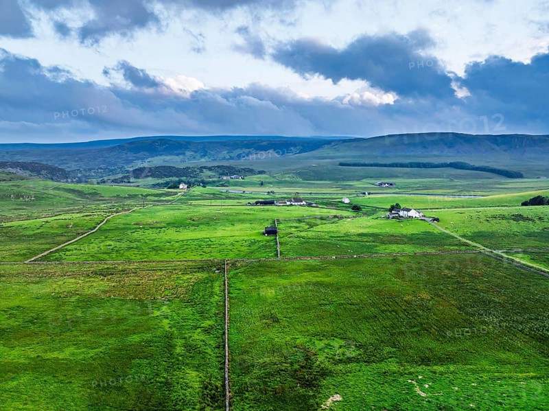 Forest in Teesdale over River Tees from a drone, North Pennines AONB, County Durham, England, United Kingdom