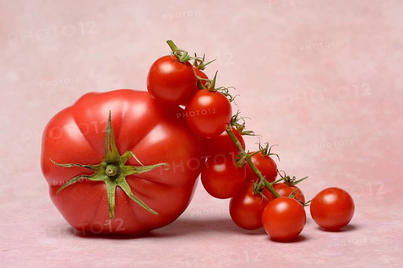 Beef tomato and cherry vine tomatoes with pink background