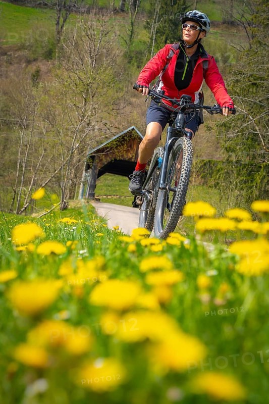 Pretty senior woman riding her electric mountain bike in early springtime in the Allgau mountains, with blooming spring flowers in the Foreground and a wooden bridge in background, near Oberstaufen, Bavaria, Germany