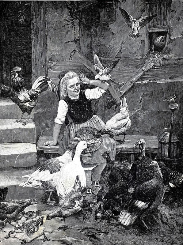 Girl wants to feed the house birds and is attacked by the hungry birds, 1891, Germany, authentic, digitally restored reproduction from a 19th century model, exact date of depiction unknown, historical, smiling girl feeding a variety of birds on a farm surrounded by animals