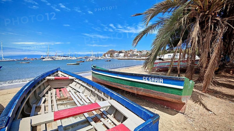 Boats with the inscription 'Cesaria' on sandy shore, beach with palm trees and blue sky in the background, Mindelo, Sao Vicente, Cabo Verde, Cape Verde, Cape Verde