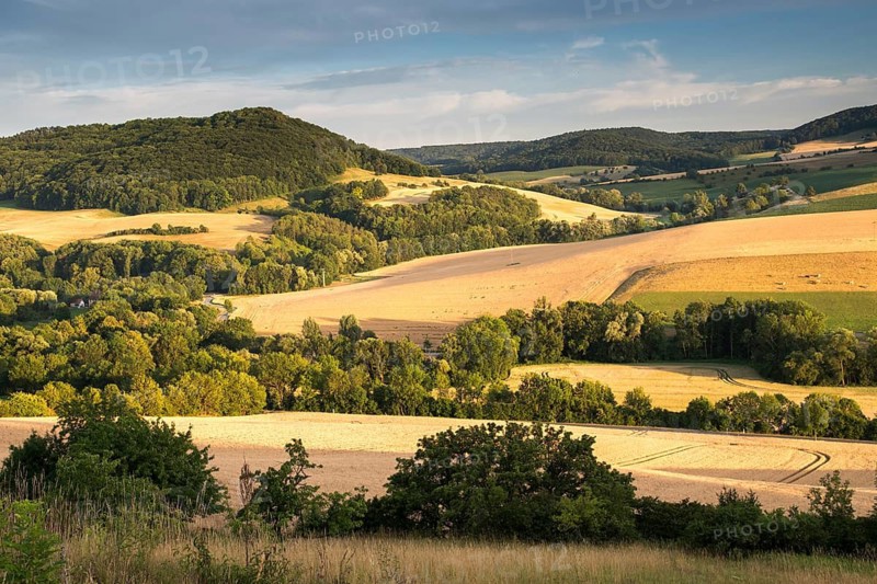 Alter Gleisberg, Germany, Gleistal, Thuringia, Cultivated Landscape, Landscape, Landscape, Nature Reserve, Nature Reserve, Summer, Summer