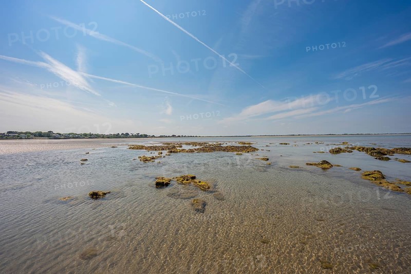 Wide coastal landscape with clear water surface and algae, low tide, Howth beach, Ireland