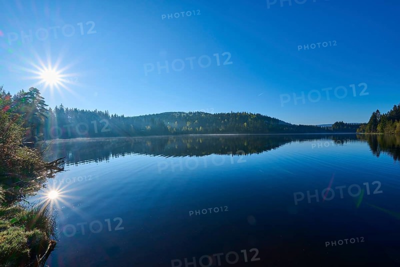 Unspoiled natural scenery of a lake in the morning light with a peaceful atmosphere, Windgfällweiher, Lenzkirch, Black Forest, Breisgau Hochschwarzwald, Baden-Württemberg, Germany