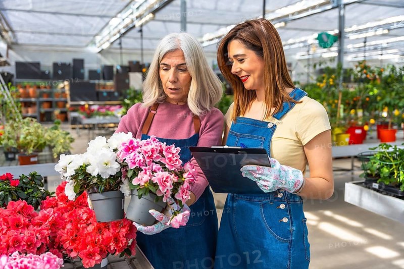 Two women florists collaborating on inventory management and plant selection in a vibrant greenhouse, discussing blooming azaleas while checking a clipboard with plant data