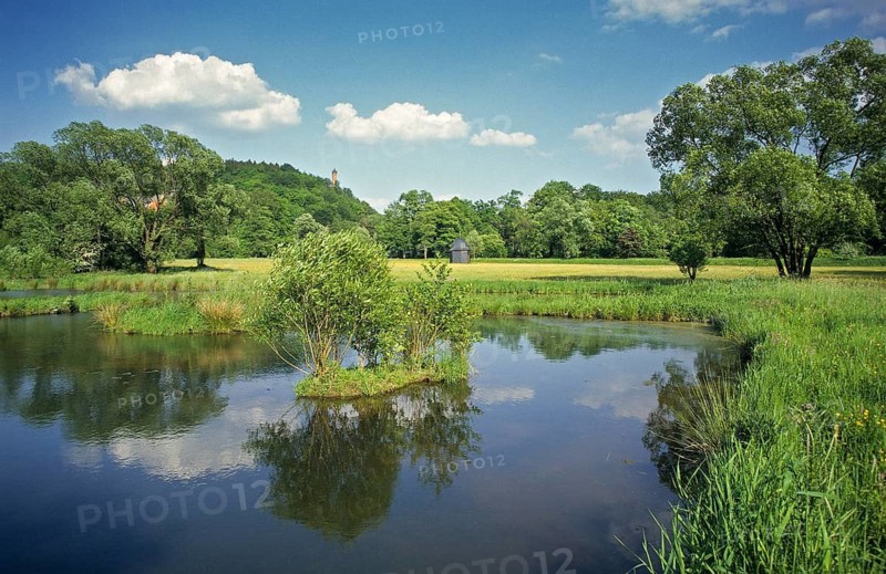 Germany, Greiz, Greizer Park, Hammerwiesen, Thuringia, small water, landscape, landscape, landscape park, pond, Vogtland