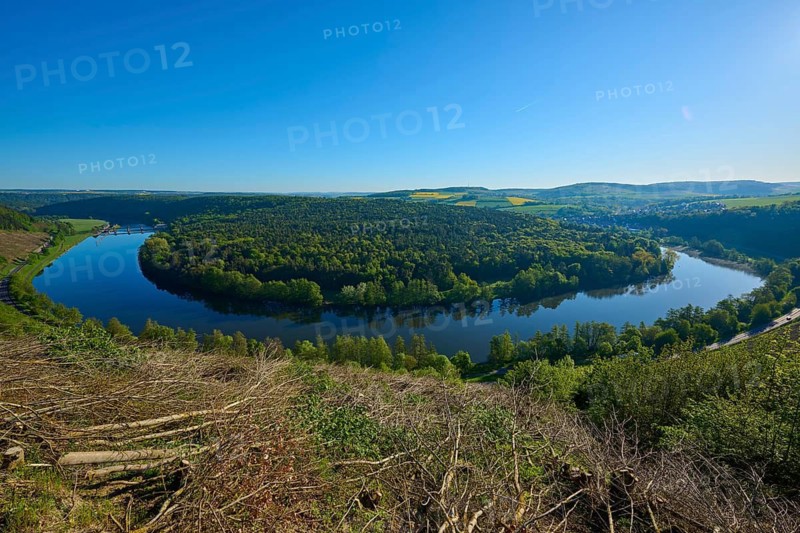 River surrounded by thick greenery under clear blue sky, Mainschleife, Urphar, Wertheim, Main Tauber Kreis, Spessart, Lower Franconia, Baden-Württemberg, Germany