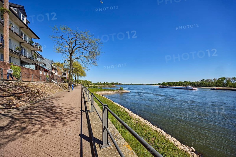 Rhine river, brick building, waterfront, metal railings, riverbank, groves, trees, blue sky, cloudless, Rhine promenade, Rees, Kleve district, North Rhine-Westphalia, Germany