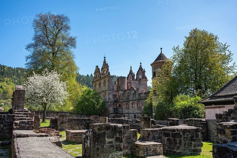 The Hirsau monastery ruins, a former important Benedictine abbey in the Nagold Valley in the northern Black Forest, Hirsau, Calw, Black Forest, Germany