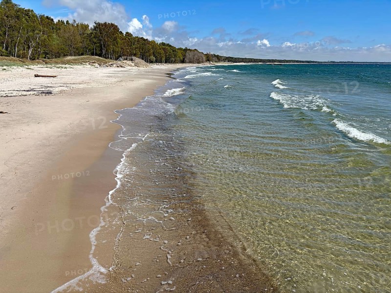 A quiet beach with waves, sand and adjacent forest under a blue sky, Wallander, crime series, Skane, Ystad, Sweden