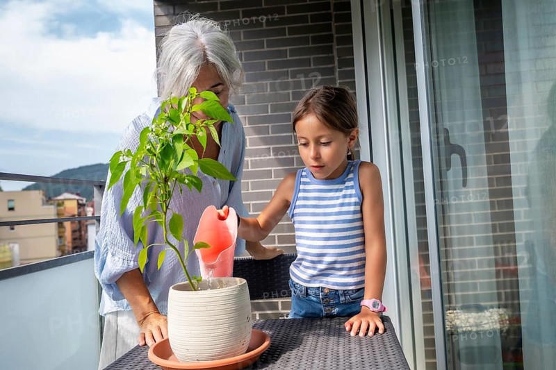 Grandmother and granddaughter enjoying a moment together on the balcony, engaging in gardening and watering a green plant, fostering intergenerational connection and teaching responsibility