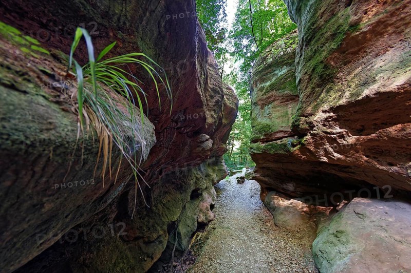 Rock formation, gorge, Schnittlinger Loch, natural monument, geotope 576R002, sandstone, half-cave, rock falls, near Schnittlingen, Spalter Hügelland, Roth district, Middle Franconia, Bavaria, Germany