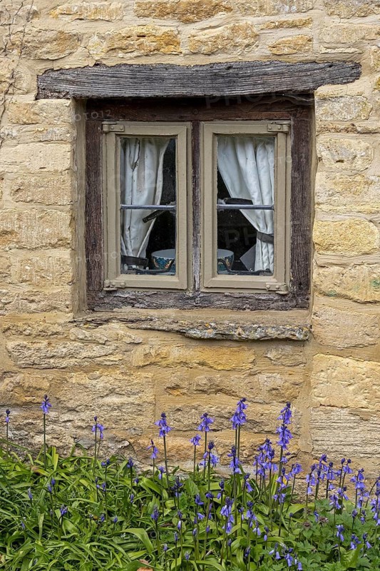 Window, flowers, house wall, Cotswold Stone, Bibury, The Cotswolds, England, Great Britain