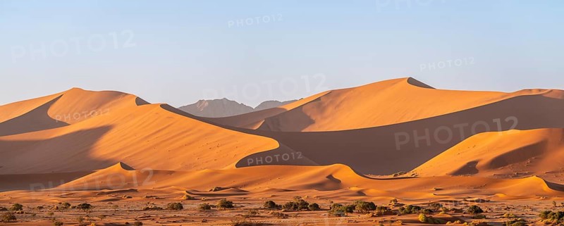 Panorama, barren vegetation between red-yellow Namib sand dunes, Namib Desert, Namib-Naukluft National Park, Namibia