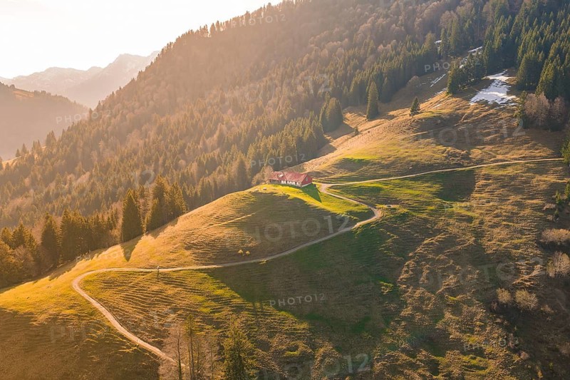 A vast landscape with hills, forests and a path in evening sunlight, Allgäu, Bavaria, Germany