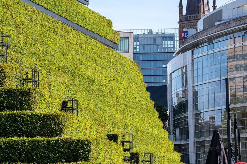 Green façade, made of over 30, 000 hornbeams, a good 8 kilometers long hedge, on the roof and the façade of the Kö-Bogen-2 house form the largest green façade in Europe, the plants prevent the façade from heating up and cool the environment by evaporating moisture through the plants, improving the microclimate in summer, Düsseldorf, North Rhine-Westphalia, Germany