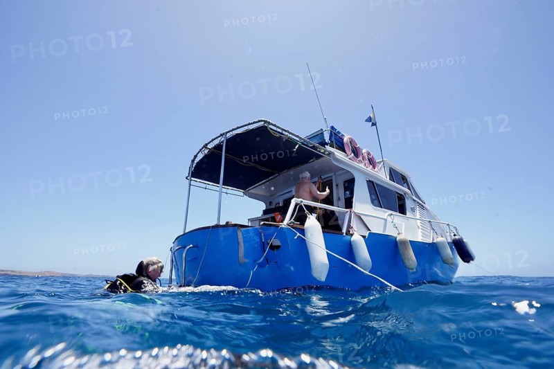 Divers aboard a dive boat are preparing for their trip, meteor wreck dive site, Russian hydrofoil ferry, Arguineguin, Gran Canaria, Spain, Europe, Atlantic
