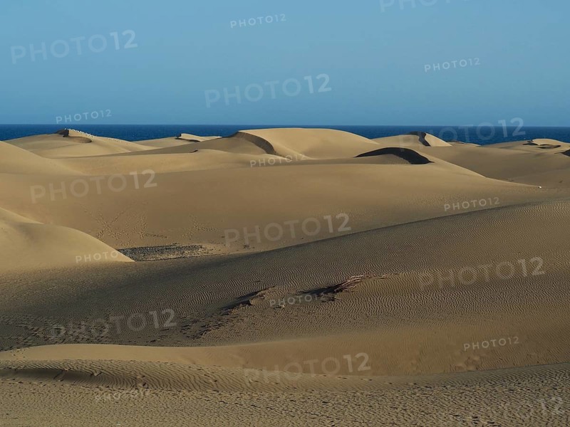 Gentle sand dunes stretch into the distance, surrounded by clear sky and sea, dunes of Maspalomas, Gran Canaria, Spain