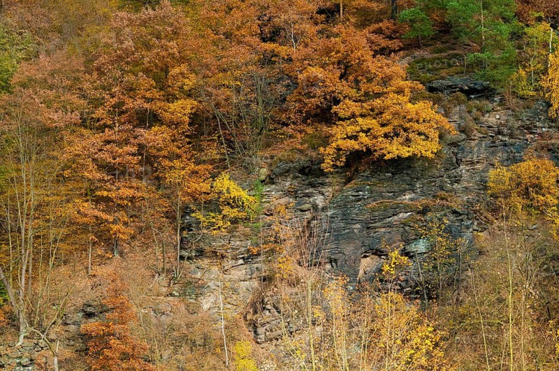 Germany, Greiz, Rothental Alps, Thuringia, Thuringia, Autumn, Elstertal, Cliffs, Autumn, Landscape, Rock, Vogtland
