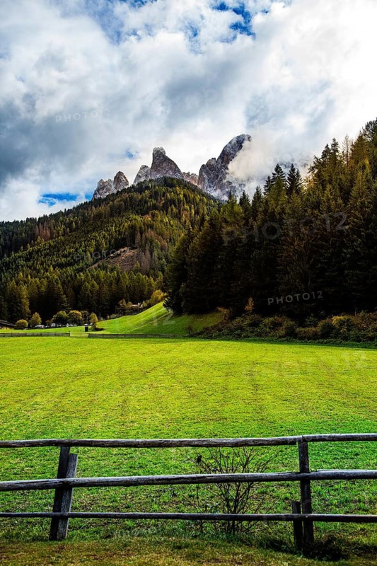 Green meadow in the foreground, surrounded by a forest, with a dramatic mountain panorama in the background, view of the Geisler Group mountain from the Funes valley. Funes, Trentino Alto Adige, Italy