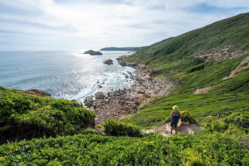 Hikers on their way to the beach, coast and ocean at Robberg Nature Reserve, Plettenberg Bay, South Africa