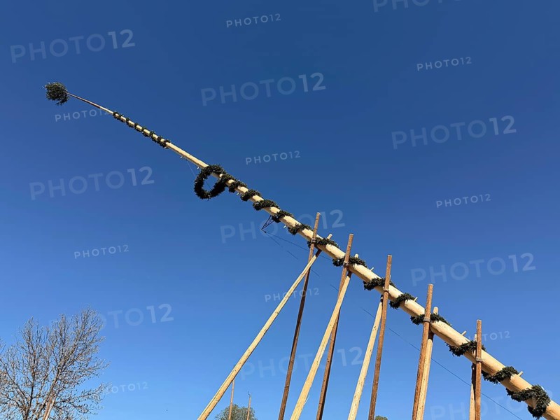 Traditional setting up of a maypole, May 1, 2026, Bavaria, Germany