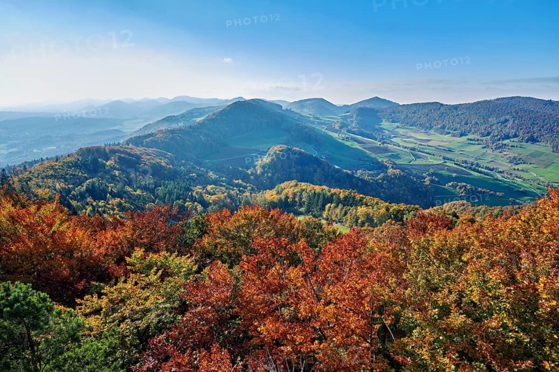 View of an autumnal forest from the Gisliflue, behind the Jura foothills with Wasserfluh and Strihen, Talheim, Canton, Aargau, Switzerland