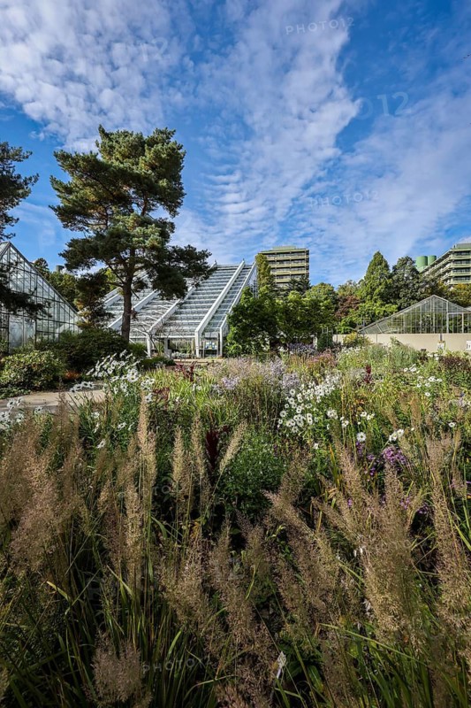 Bochum, North Rhine-Westphalia, Germany - Blooming flower-bed in the flower bed in front of the Tropical House, Botanical Garden of the Ruhr-University Bochum. University building in the background. As part of the Ruhr University Bochum, the botanical garden is primarily used for research and teaching, but also for education and public recreation