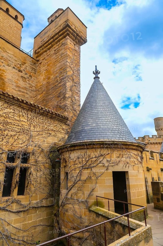 Majestic royal palace of olite in navarre, spain, featuring weathered stone walls, a conical roof turret, and climbing vines, showcasing medieval architecture