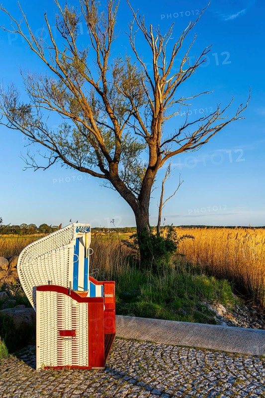 Landscape at the harbour of Sellin, Rügen, Mecklenburg-Vorpommern, Germany