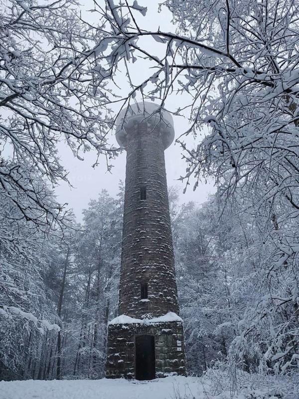 A tall stone tower rises amidst snow-covered trees and fog, Lucas Cranach Tower in Kronach, Frankenwald nature park Park