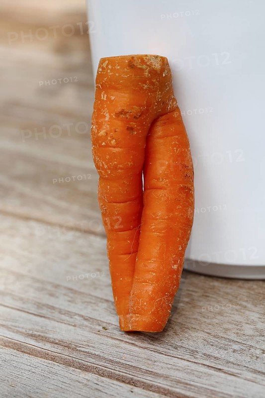 Carrot (Daucus carota subsp. sativus), funny carrot in the shape of trousers, carrot trousers, carrot turnip, yellow turnip, yellow turnip, carrot root, root is leaning against a white pot, vegetable, humour, Germany