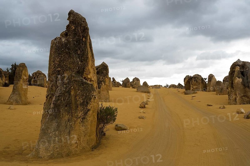 Pinnacles, Australia, Western Australia, West Coast Australia, limestone, limestone pillars, stone pillars, Nambung National Park, rock needles, Indian Ocean Drive, Pinnacle Desert, Pinnacles Desert Discovery Center