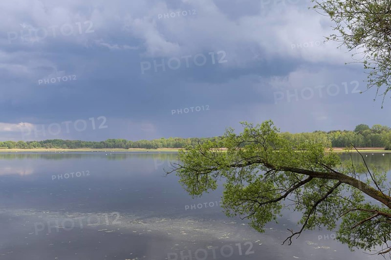 Fishing pond in Lusatia, Saxony, Germany