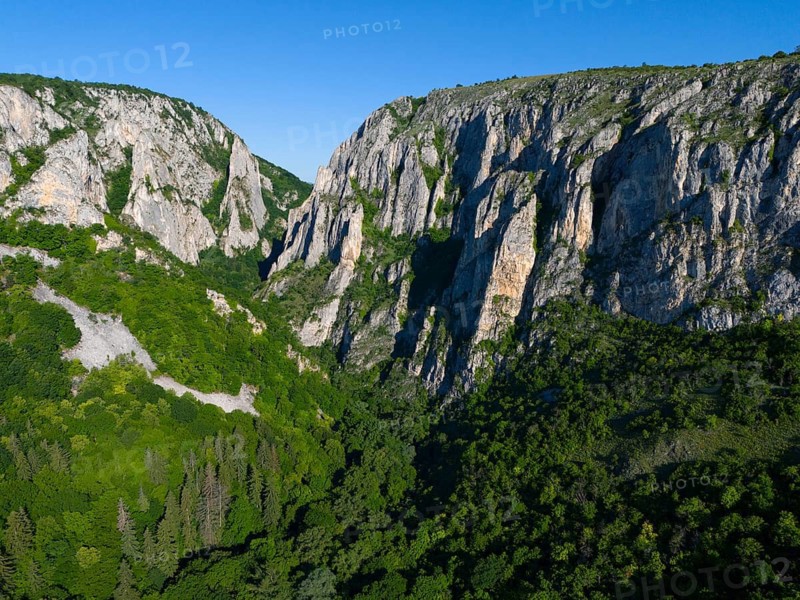 Majestic cliffs rise above a green forest under a bright blue sky, aerial view, Cheile Turzii, Turda Gorge, Thorenburg Gorge, Turda, limestone gorge in the Trascau Mountains, Trascau, nature reserve, Western Carpathians, Transylvania, Romania