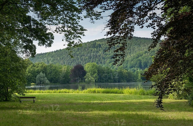 Elsteral, Germany, Greiz, Greizer Park, Thuringia, Weißes Kreuz, cultivated landscape, landscape, landscape, parksee, Vogtland