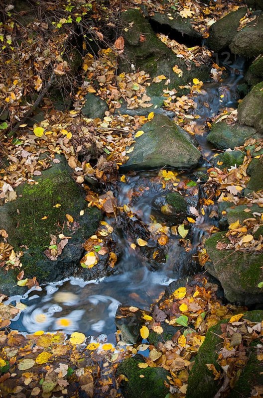 Germany, Rentzschmühle, Thuringia, Thuringia, autumn, rivers, autumn, high size, portrait, landscape, nature reserve, nature reserve, Steinicht, Vogtland