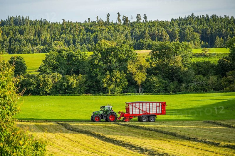 Tractor with trailer collects mowed grass from tracks on a meadow in an agricultural landscape, Upper Palatinate, Bavaria, Germany