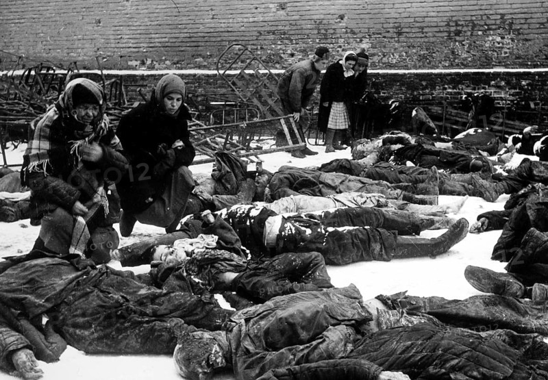 Identification of the dead following the retreat of the Wehrmacht. The German occupiers shot all prisoners in front of they withdrew. Soldiers as well as civilians. Rostov-on-Don, Soviet Union, February 1943 These recordings of J. Chaldej were also used as evidence at the Nuremberg war crimes trials