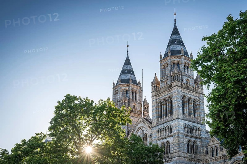 Natural History Museum or Natural History Museum, built in 1860 in Romanesque-Byzantine style, South-Kensington, London, England, Great Britain