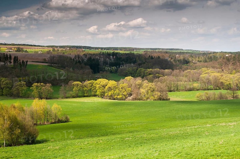 Germany, Greiz, Thuringia, Thuringia, Weidatal, floodplain, floodplain, spring, landscape, spring
