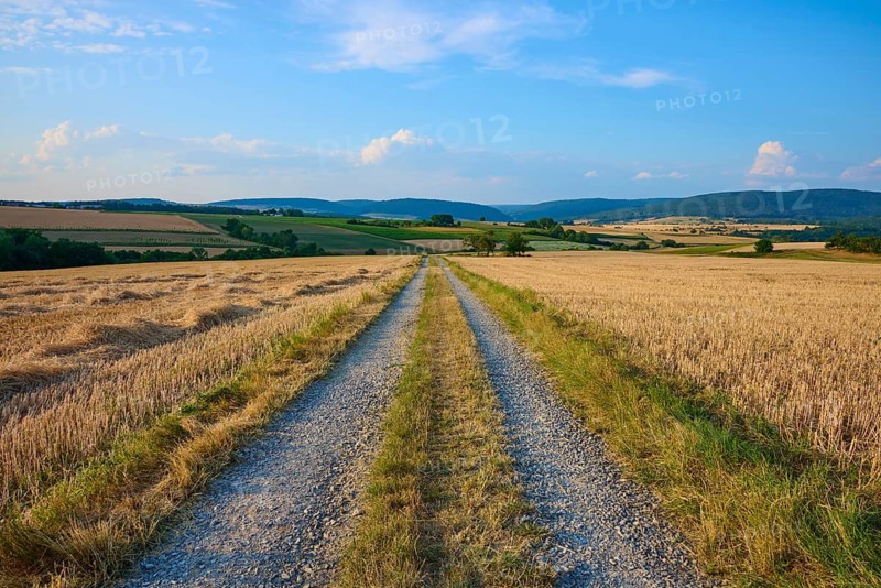 Long dirt road surrounded by fields under a clear blue sky, summer, Mönchberg, Miltenberg, Spessart, Bavaria, Germany