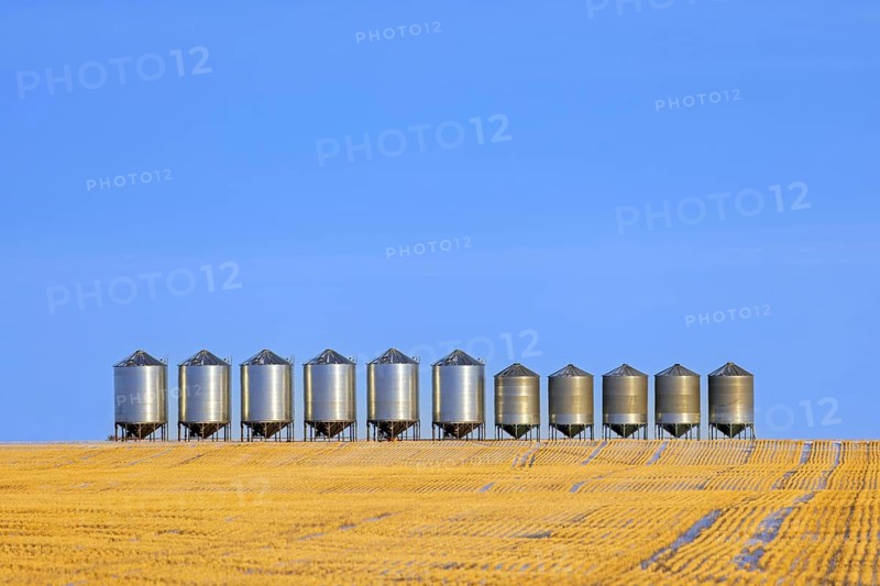 Row of grain bins, stainless steel silos for bulk storage in field at Saskatchewan, Canada