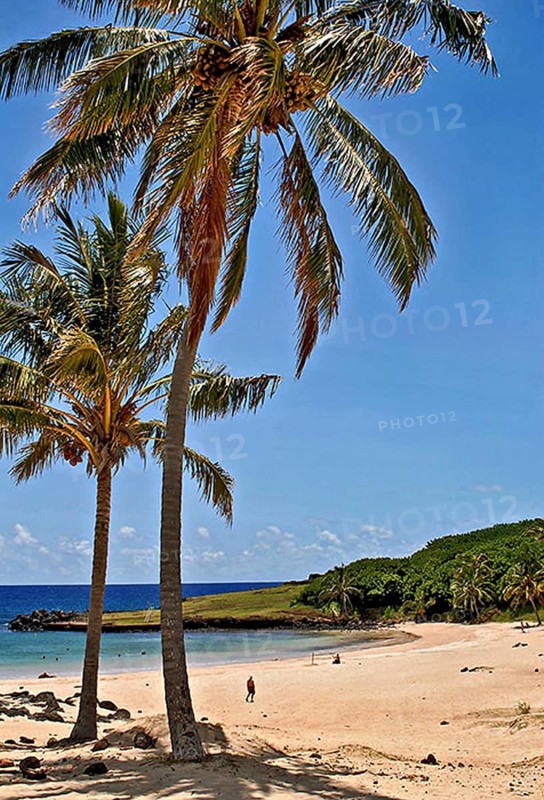 Anakena Beach on Easter Island in Chile, Hotu Matua, Rapa Nui