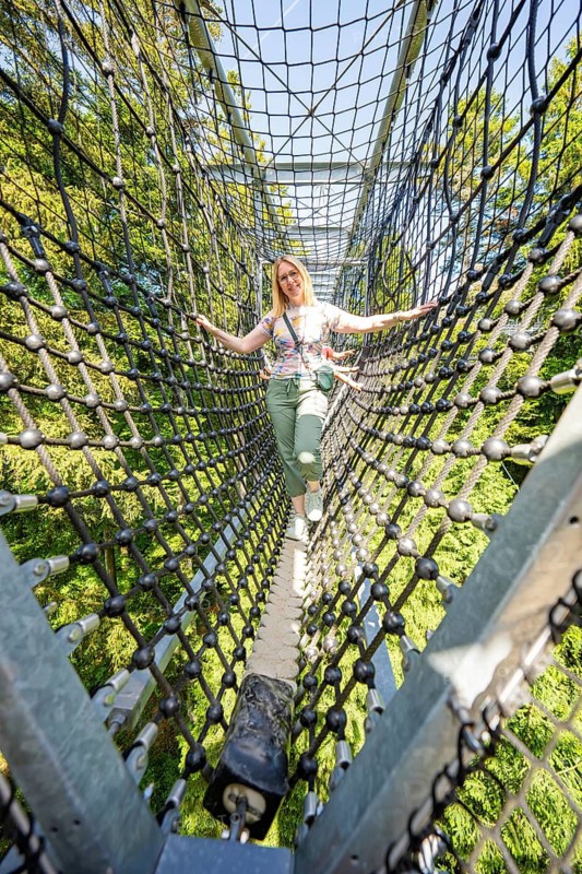 Person balancing on a hanging net bridge surrounded by trees, Waldwelt Skywalk Allgäu, Scheidegg, Allgäu, Germany