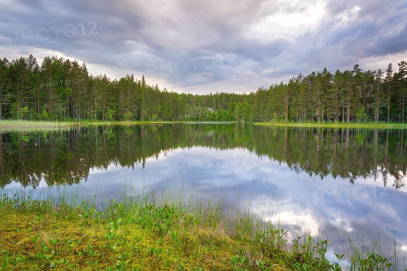 View over Lake Ongeltjørn, Telemark, Norway