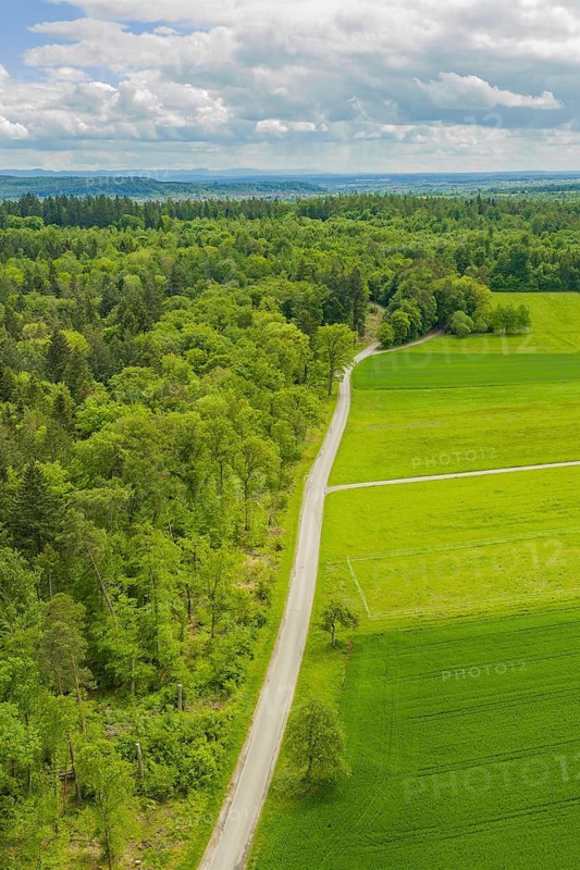 A road runs through green fields and thick forest under a cloudy sky, Aidlingen sports ground, Böblingen district, Germany